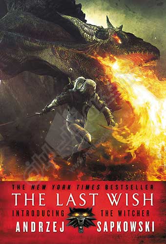 the last wish witcher