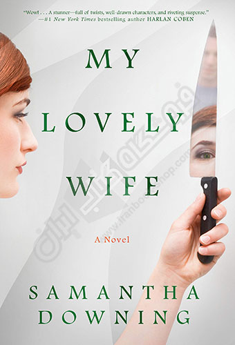 the lovely wife book